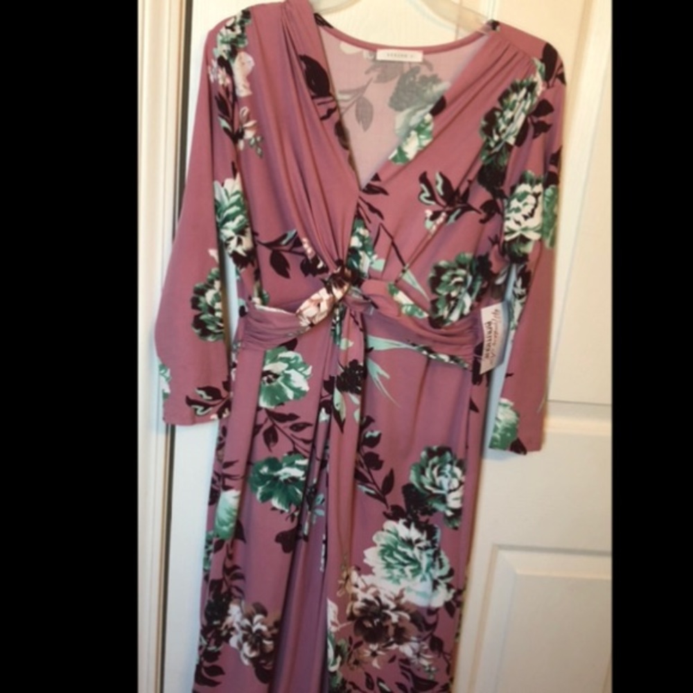 NWT Floral Maternity Dress XL
